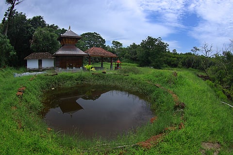 തെക്കുമ്പാട് തായക്കാവ്/ ഫോട്ടോ: പ്രസൂൺ കിരൺ