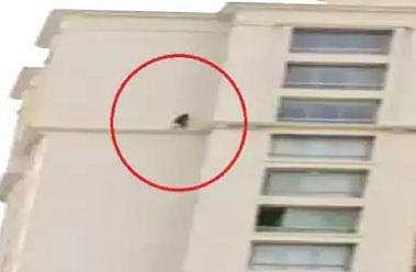 ആരാണ് ധൈര്യശാലി എന്ന ചേട്ടന്റെ വെല്ലുവിളി ഏറ്റെടുത്തു, 23-ാം നിലയില്‍ തട്ടിലൂടെ മൂന്ന് തവണ നടന്ന് 14കാരിയുടെ അതിസാഹസികത; ഞെട്ടി നഗരം 