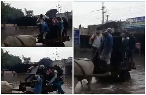 കാളവണ്ടിയില്‍ കയറി യാത്ര; വെള്ളക്കെട്ടിലേക്ക് തെറിച്ചുവീണ് യാത്രക്കാര്‍ (വീഡിയോ)