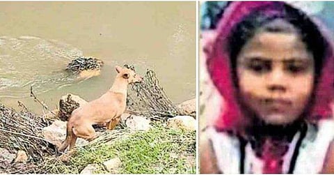 പുഴയിൽ നോക്കി നിർത്താതെ കരഞ്ഞ് കുവി ; സംശയം തോന്നി തിരച്ചിൽ ; കളിക്കൂട്ടുകാരി ധനുവിനെ കണ്ടെത്താൻ സഹായിച്ചത് വളർത്തുനായ; വൈകാരിക രംഗങ്ങൾ