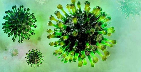 വീണ്ടും കോവിഡ് മരണം ; കോതമംഗലം സ്വദേശി മരിച്ചു