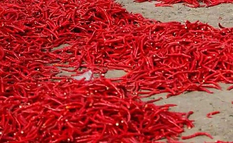 പട്ടാപ്പകല്‍ ജ്വല്ലറി ഉടമയുടെ കണ്ണില്‍ മുളകുപൊടി എറിഞ്ഞു, സ്വര്‍ണാഭരണങ്ങളുമായി രക്ഷപ്പെടാന്‍ ശ്രമം; ഇടപെട്ട് നാട്ടുകാര്‍