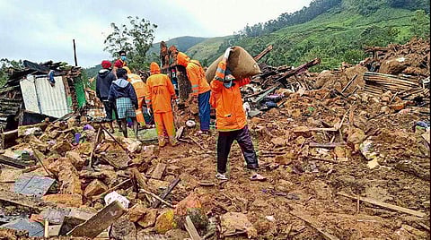 അഞ്ച് പേരെ ഇനിയും കണ്ടെത്താനായില്ല, വെല്ലുവിളിയായി കടുവയും; പെട്ടിമുടിയിൽ തിരച്ചിൽ തുടരും 