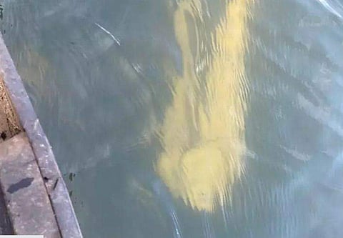 'ഉടലില്‍ തല കാണുന്നില്ല'; മത്സ്യതൊഴിലാളികൾ നാട്ടുകാരെ അറിയിച്ചു;  പെരിയാറില്‍ മൂന്ന് മണിക്കൂര്‍ നീണ്ട സാഹസിക തിരച്ചില്‍; ഒടുവിൽ കിട്ടിയത്!!