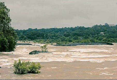 പത്തനംതിട്ടയില്‍ കനത്ത മഴ; മൂഴിയാര്‍ ഡാമിന്റെ മൂന്ന് ഷട്ടറുകള്‍ ഉയര്‍ത്തും, പമ്പയുടെ തീരത്തുള്ളവര്‍ക്ക് ജാഗ്രതാനിര്‍ദേശം