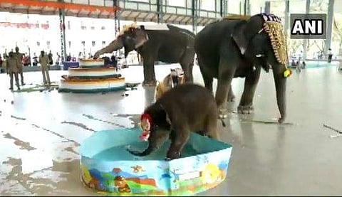 പ്ലാസ്റ്റിക് ടബ്ബിലെ വെള്ളം നാലുപാടും ചിതറിച്ച് കുഞ്ഞു ശിവാനി ; പേരിടലിന് പിന്നാലെ കുറുമ്പു കാട്ടി തിമിർപ്പ് ( വീഡിയോ)