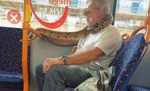 ബസില്‍ പാമ്പിനെ മുഖാവരണമാക്കി യാത്രക്കാരന്‍; ഞെട്ടല്‍ , (ചിത്രങ്ങള്‍)