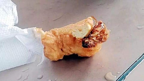 ന​ഗരസഭ യോ​ഗത്തിനിടെ വിതരണം ചെയ്ത വടയിൽ പാറ്റ, കിട്ടിയത് മുൻ ചെയർപേഴ്സണിന്; കുടുംബശ്രീ ഹോട്ടൽ പൂട്ടിച്ചു