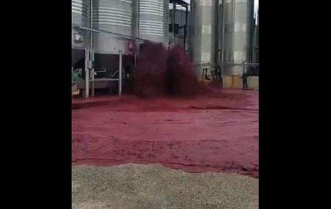 ഒഴുകിപ്പരന്നത് 50,000 ലിറ്റർ; വൈനിൽ മുങ്ങി ഒരു പ്രദേശം (വീഡിയോ)