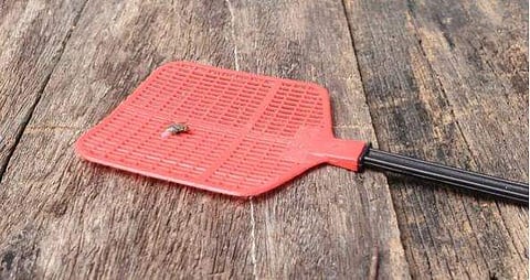 പ്രതീകാത്മക ചിത്രം