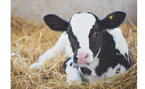 പ്രതീകാത്മക ചിത്രം