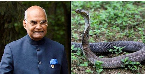 രാഷ്ട്രപതി ഭവനിൽ അപ്രതീക്ഷിത അതിഥി ; മൂർഖൻ പാമ്പിനെ പിടികൂടി