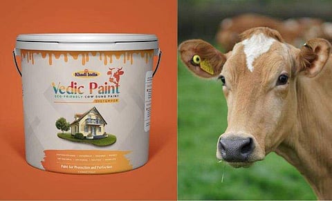 വേദിക് പെയിൻ്റ്/ ചിത്രം: ട്വിറ്റർ