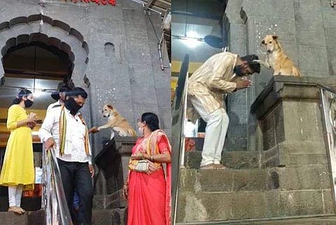 വിശ്വാസികളെ 'അനുഗ്രഹിക്കുന്ന'നായ