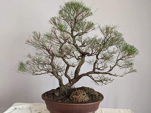 ചിത്രം: ഫേസ്ബുക്ക്