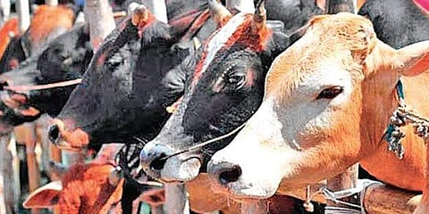 പ്രതീകാത്മക ചിത്രം/ ഫയൽ