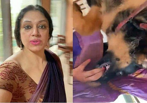 വിഡിയോ സ്ക്രീൻഷോട്ട്