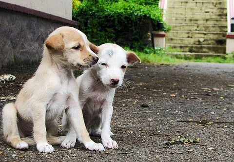 ഫയല്‍ ചിത്രം