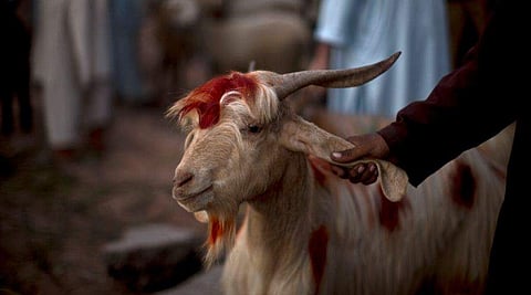 പ്രതീകാത്മക ചിത്രം