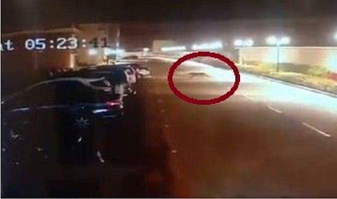 വിഡിയോ സ്ക്രീൻഷോട്ട്