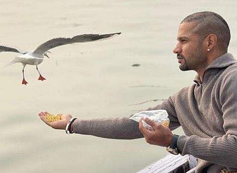 പക്ഷികൾക്ക് തീറ്റ കൊടുക്കുന്ന ധവാൻ/ ഇൻസ്റ്റ​ഗ്രാം