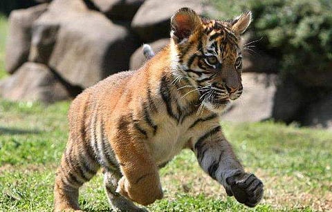 പ്രതീകാത്മക ചിത്രം