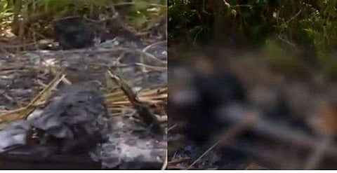 മൃതദേഹം കത്തിക്കരിഞ്ഞ നിലയിൽ റെയിൽവേ ട്രാക്കിൽ / ടെലിവിഷൻ ചിത്രം