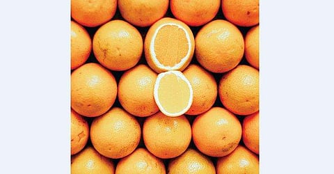 'ഇരട്ടക്കുട്ടികളുടെ അമ്മ'- പദ്മദാസ് എഴുതിയ കവിത