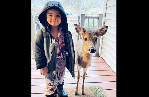 ഡൊമിനിക്കും മാൻകുട്ടിയും/ ഫെയ്സ്ബുക്ക്