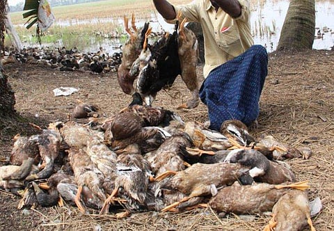 ഫയല്‍ ചിത്രം