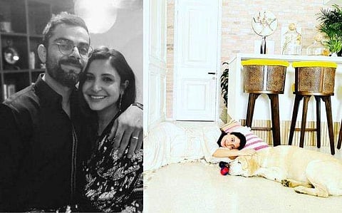 അനുഷ്‌ക ശര്‍മ്മ/ചിത്രം: ഇന്‍സ്റ്റഗ്രാം