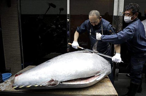 റെക്കോര്‍ഡ് തുകയ്ക്ക് ലേലത്തില്‍ വിറ്റ ട്യൂണ മത്സ്യം