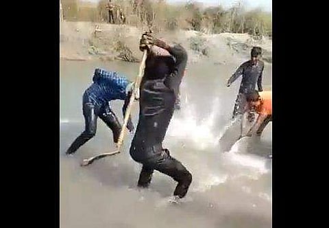 യുവാക്കള്‍ സംഘം ചേര്‍ന്ന് ഗംഗാ ഡോള്‍ഫിനെ അടിച്ചുകൊല്ലുന്നു