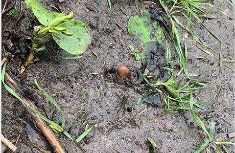 പൊലീസ് ഫെയ്‌സ്ബുക്കില്‍ പങ്കുവെച്ച ചിത്രം