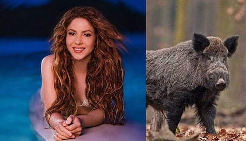 ചിത്രം: ഇൻസ്റ്റ​ഗ്രാം