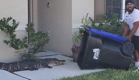 വീഡിയോ ദൃശ്യം