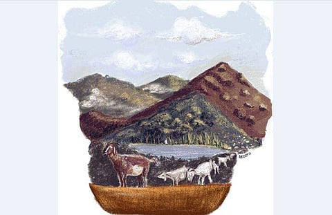 ചിത്രീകരണം: അർജുൻ കെവി