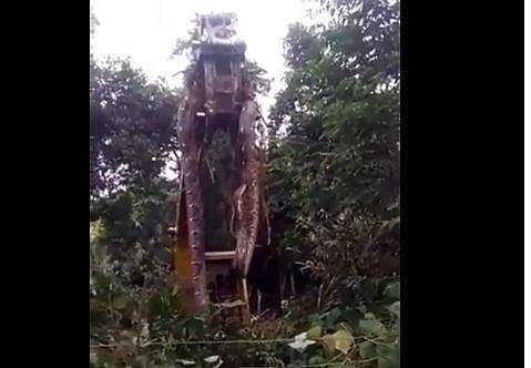 പെരുമ്പാമ്പിനെ ക്രെയിന്‍  ഉപയോഗിച്ച് ഉയര്‍ത്തിയപ്പോള്‍