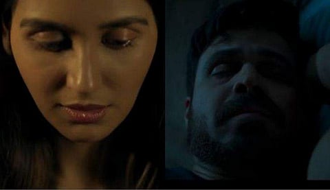 വിഡിയോ സ്ക്രീൻഷോട്ട്