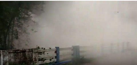 വീഡിയോ സ്‌ക്രീന്‍ഷോട്ട്