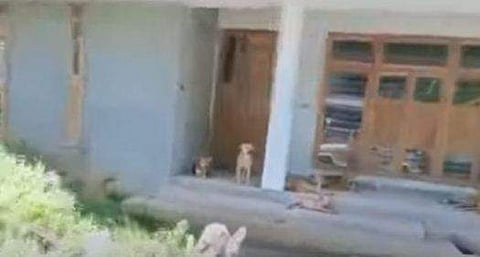 വീഡിയോ ദൃശ്യത്തില്‍ നിന്ന്‌