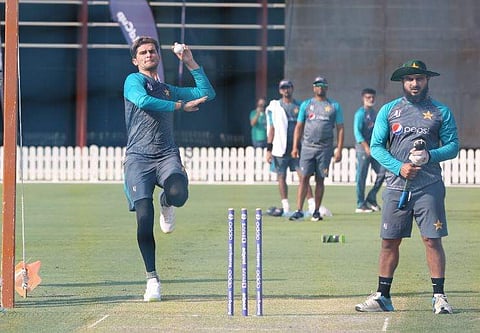 ഫോട്ടോ: ട്വിറ്റർ