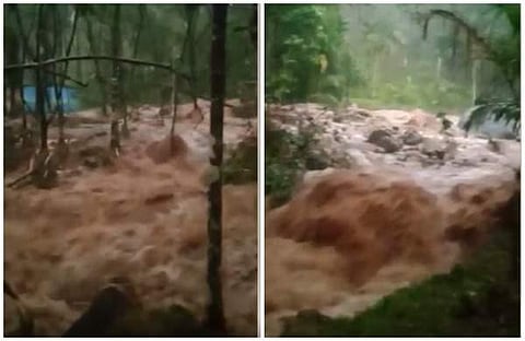 വീഡിയോ സ്‌ക്രീന്‍ഷോട്ട്