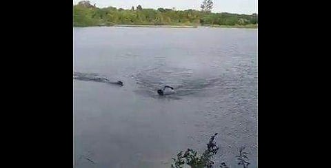 വീഡിയോ ദൃശ്യം