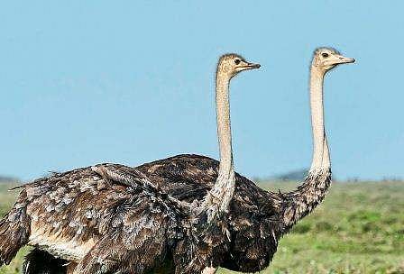 പ്രതീകാത്മക ചിത്രം