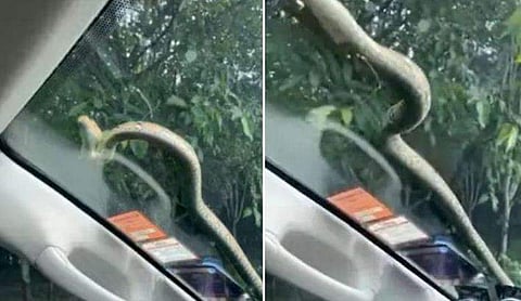 വിഡിയോ സ്ക്രീൻഷോട്ട്