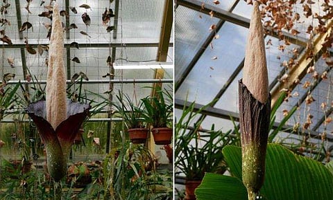 ഫോട്ടോ: ഇൻസ്റ്റ​ഗ്രാം