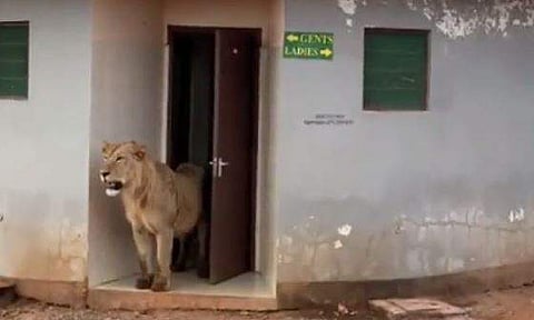 വീഡിയോ ദൃശ്യം