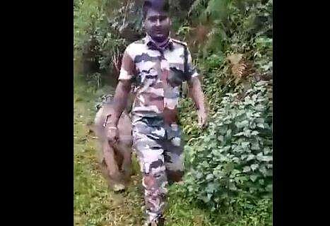 കുഴിയില്‍ അകപ്പെട്ട കുട്ടിയാനയെ വനപാലകര്‍ രക്ഷപ്പെടുത്തുന്നു