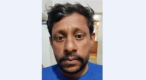 അമൃത റോയ്